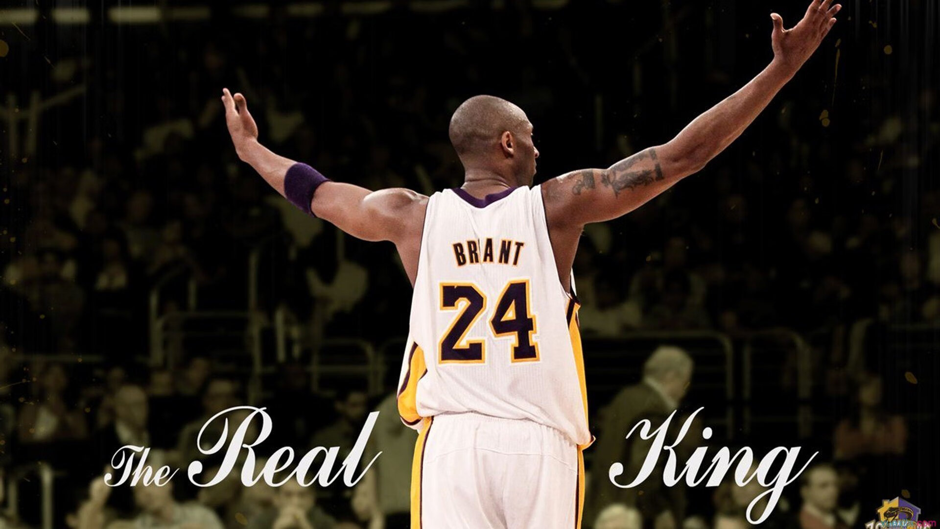 赛道上的新王崛起，诺里斯惊艳四座，迈凯伦鏖战梅赛德斯